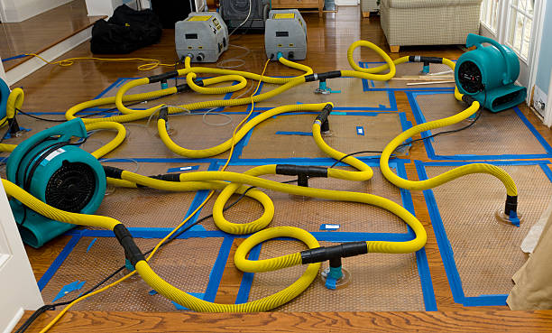 Professional Basement Flood Cleanup technician working in Joliet, IL